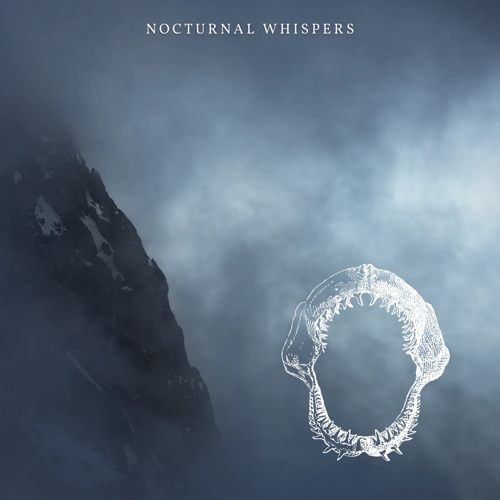 Pochette de Nocturnal Whispers